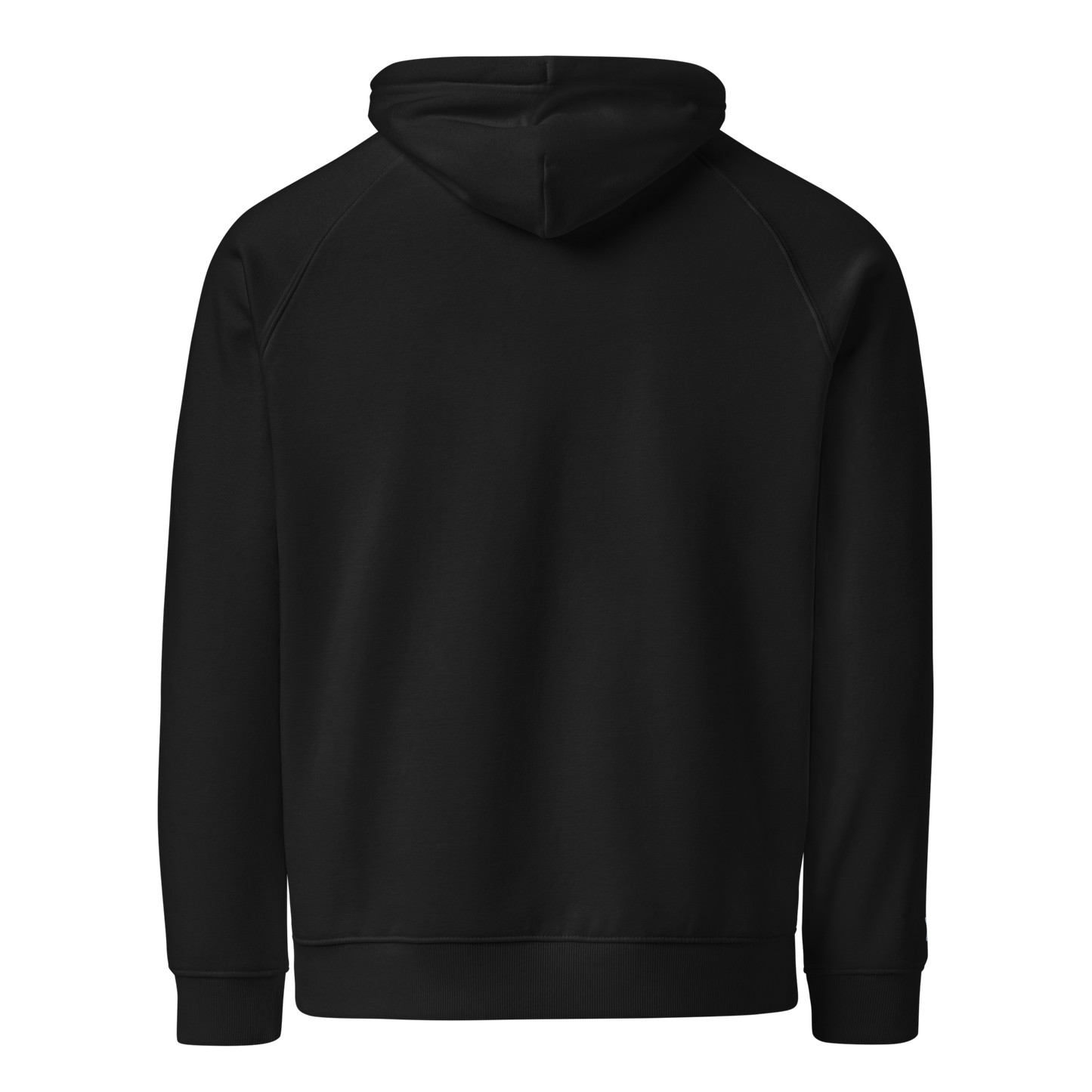 Unisex Raglan Eco-Friendly Hoodie "Onions"