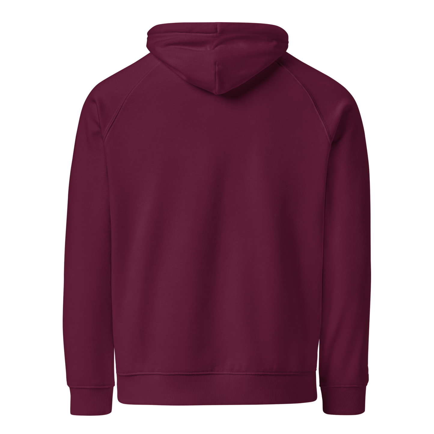 Unisex Raglan Eco-Friendly Hoodie "Onions"
