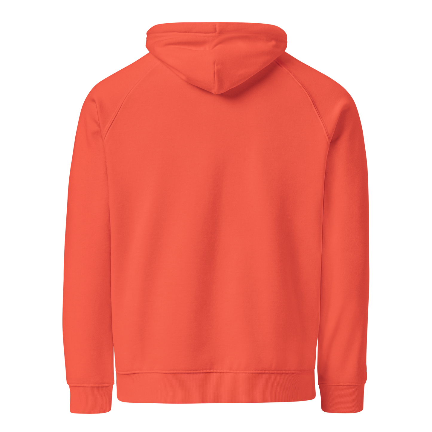 Unisex Raglan Eco-Friendly Hoodie "Onions"
