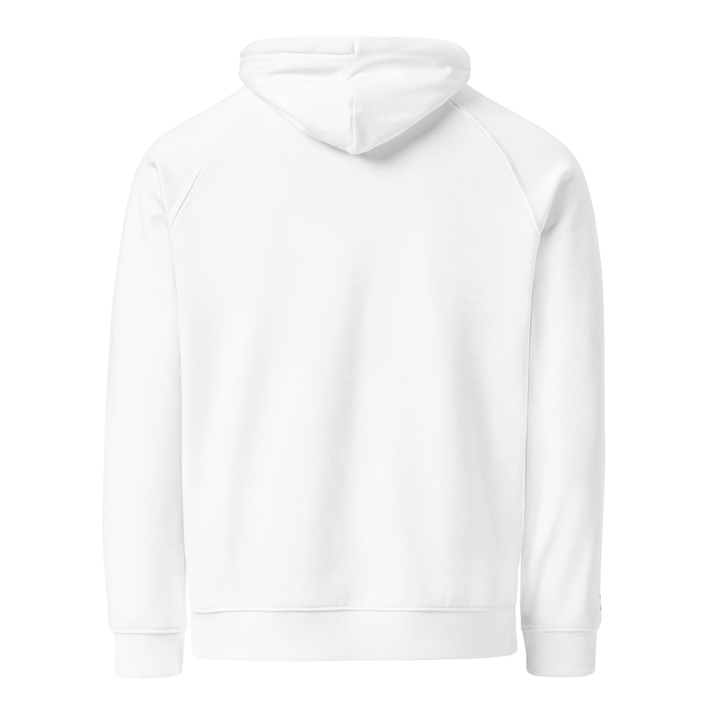 Unisex Raglan Eco-Friendly Hoodie "Onions"
