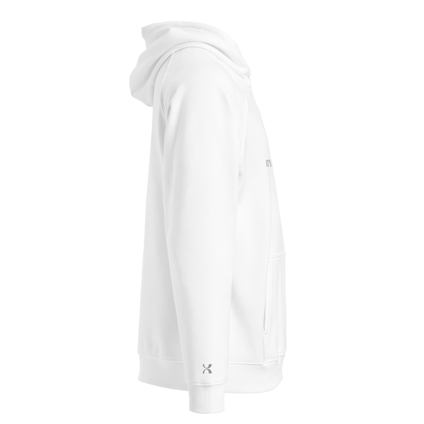 Unisex Raglan Eco-Friendly Hoodie "Onions"
