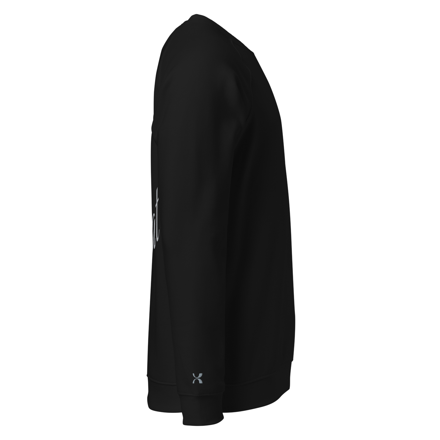 Sweatshirt écologique raglan unisexe "cat"