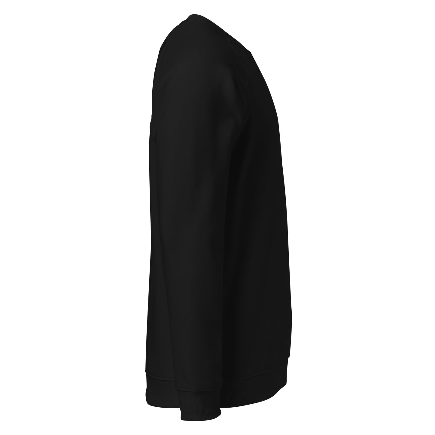 Sweatshirt écologique raglan unisexe