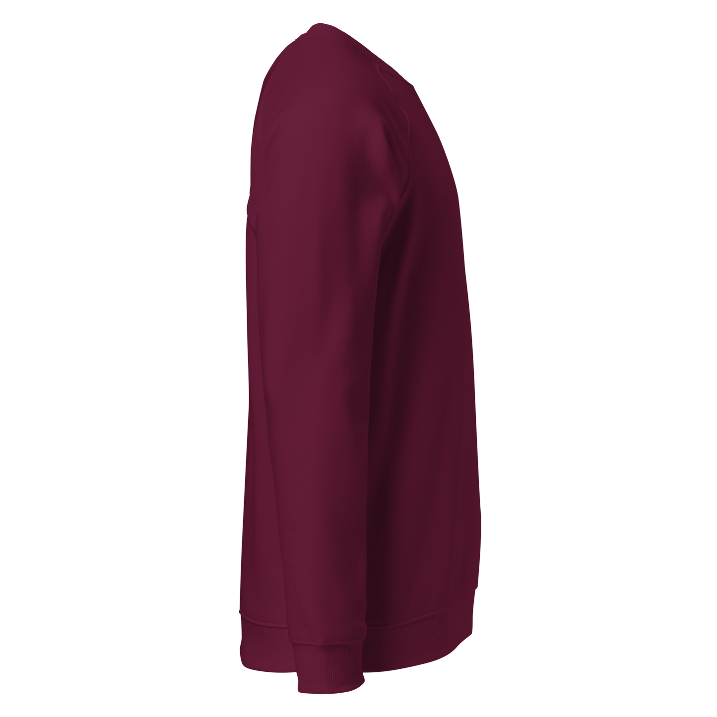 Sweatshirt écologique raglan unisexe