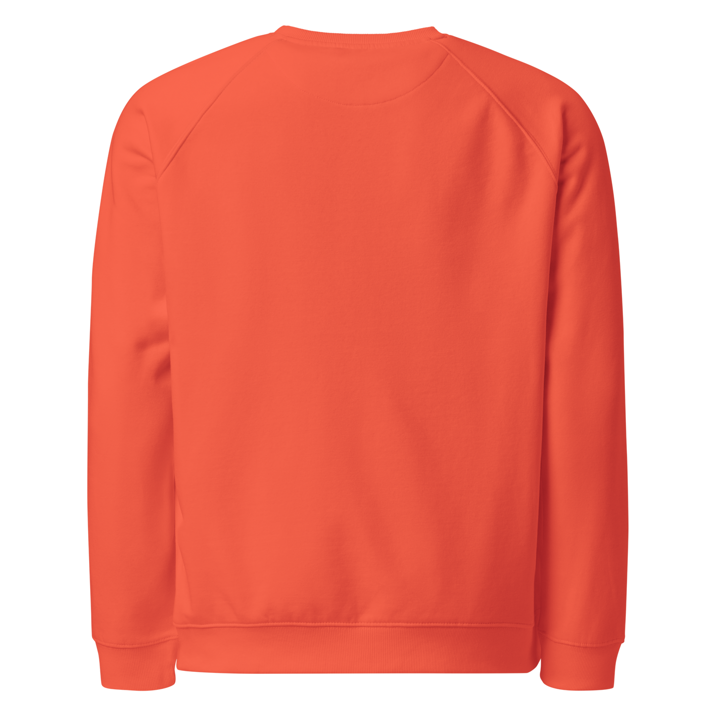 Sweatshirt écologique raglan unisexe